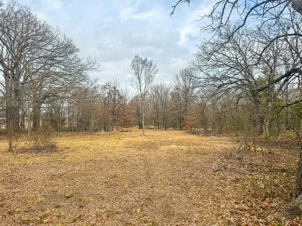 a view of a yard with trees