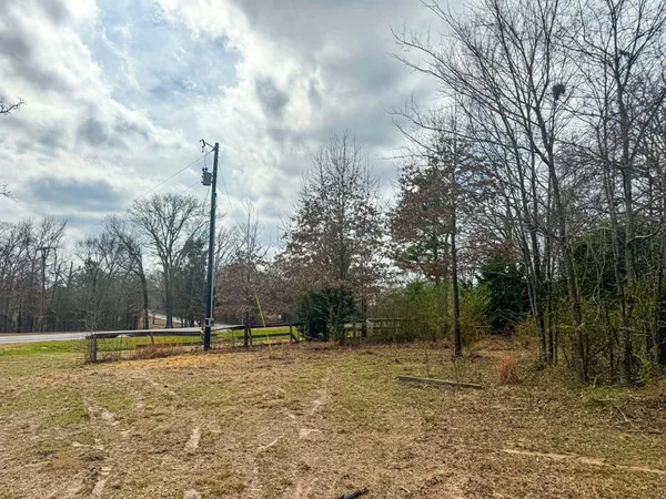 a view of a yard with a fountain