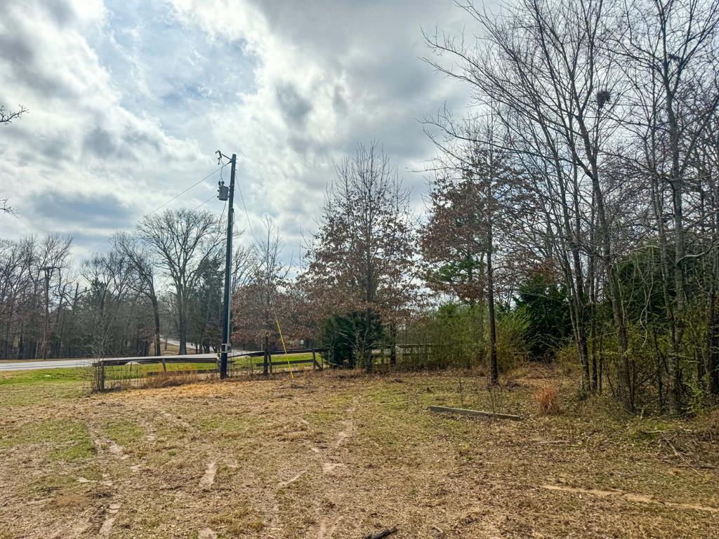 9696 Fm-515 Alba, TX 75410 - Photo 24 of 26 a view of a yard with a fountain