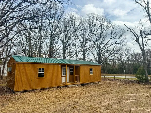 a view of backyard with large tree