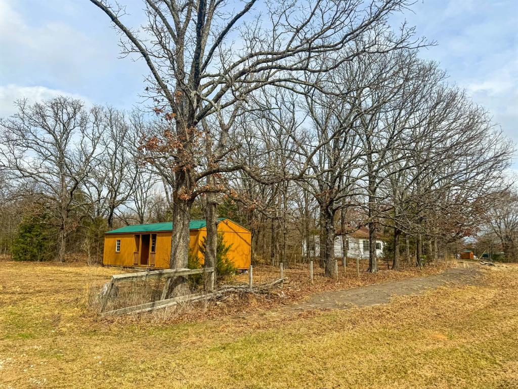 9696 Fm-515 Alba, TX 75410 - Photo 6 of 26 a view of a yard with a tree