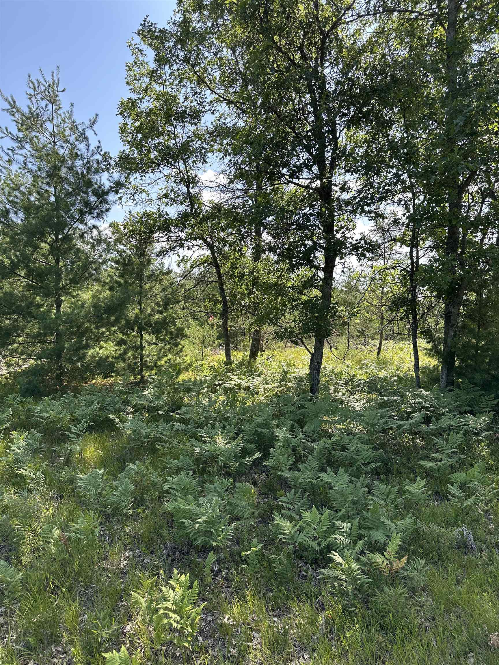 2095 Vaughn Road National City, MI 48748 - Photo 4 of 24 1948372-012ac6b0-f90b-447f-b2b1-aaca3b55b943.JPG