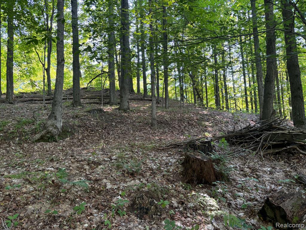 0 Newcosta Road Reed City, MI 49677 - Photo 9 of 30