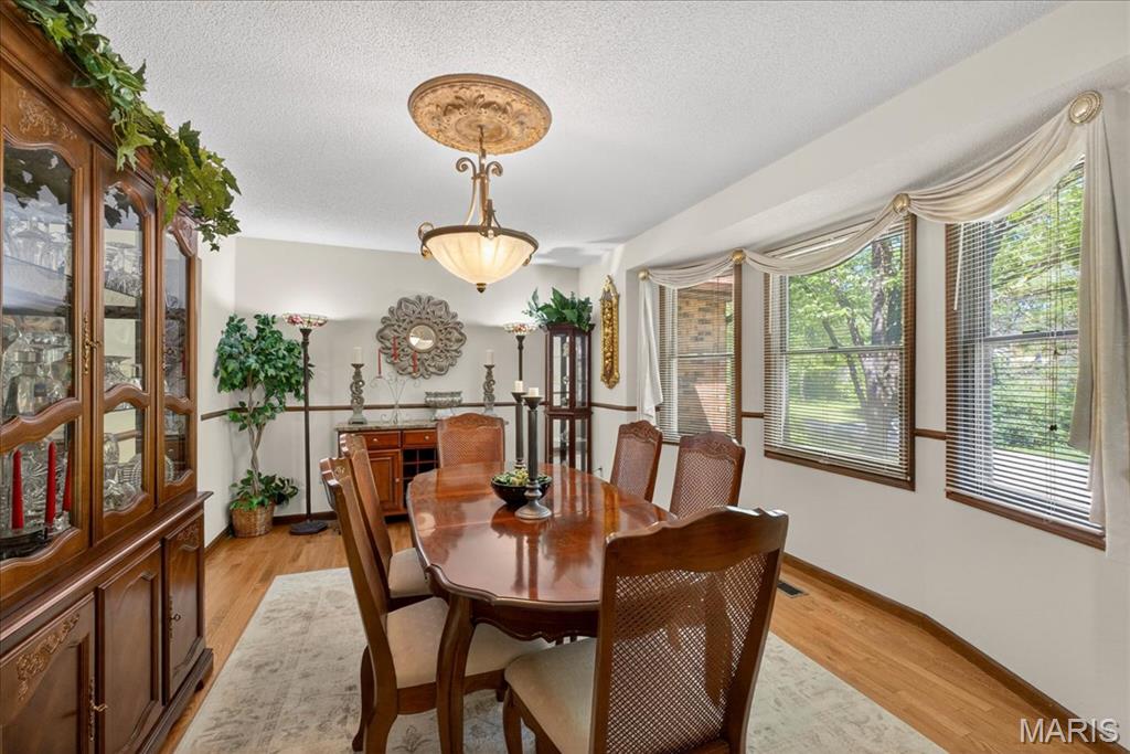 411 John Henry Road Belleville, IL 62220 - Photo 10 of 49