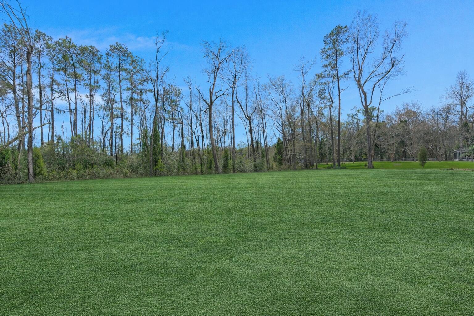 1306 McCrae Drive Moncks Corner, SC 29461 - Photo 37 of 46 37