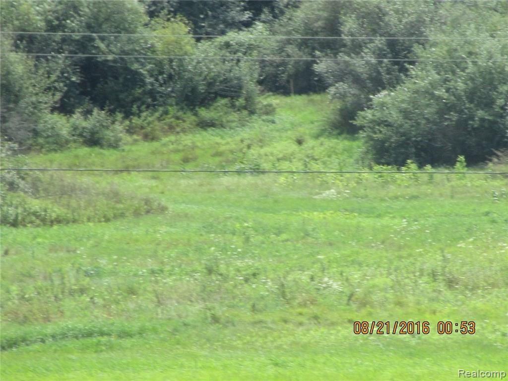 11 West Coon Lake Road Howell, MI 48843 - Photo 4 of 4