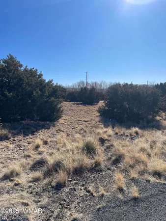 $11,000 | 74 Dawn Lane, Concho, AZ 85924