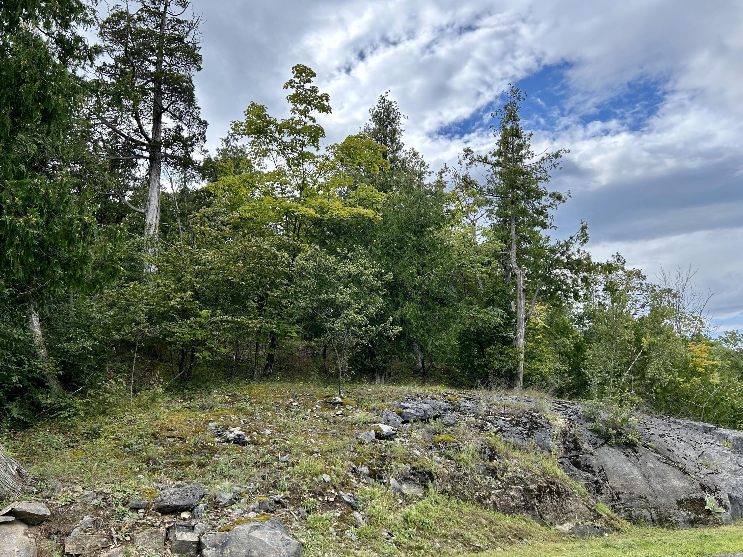 0 Bluff Point Drive Plattsburgh, NY 12901 - Photo 6 of 21 8