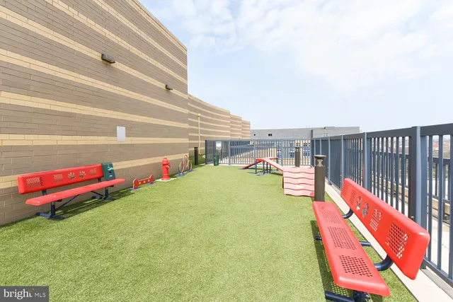 a view of a tennis ground with large trees