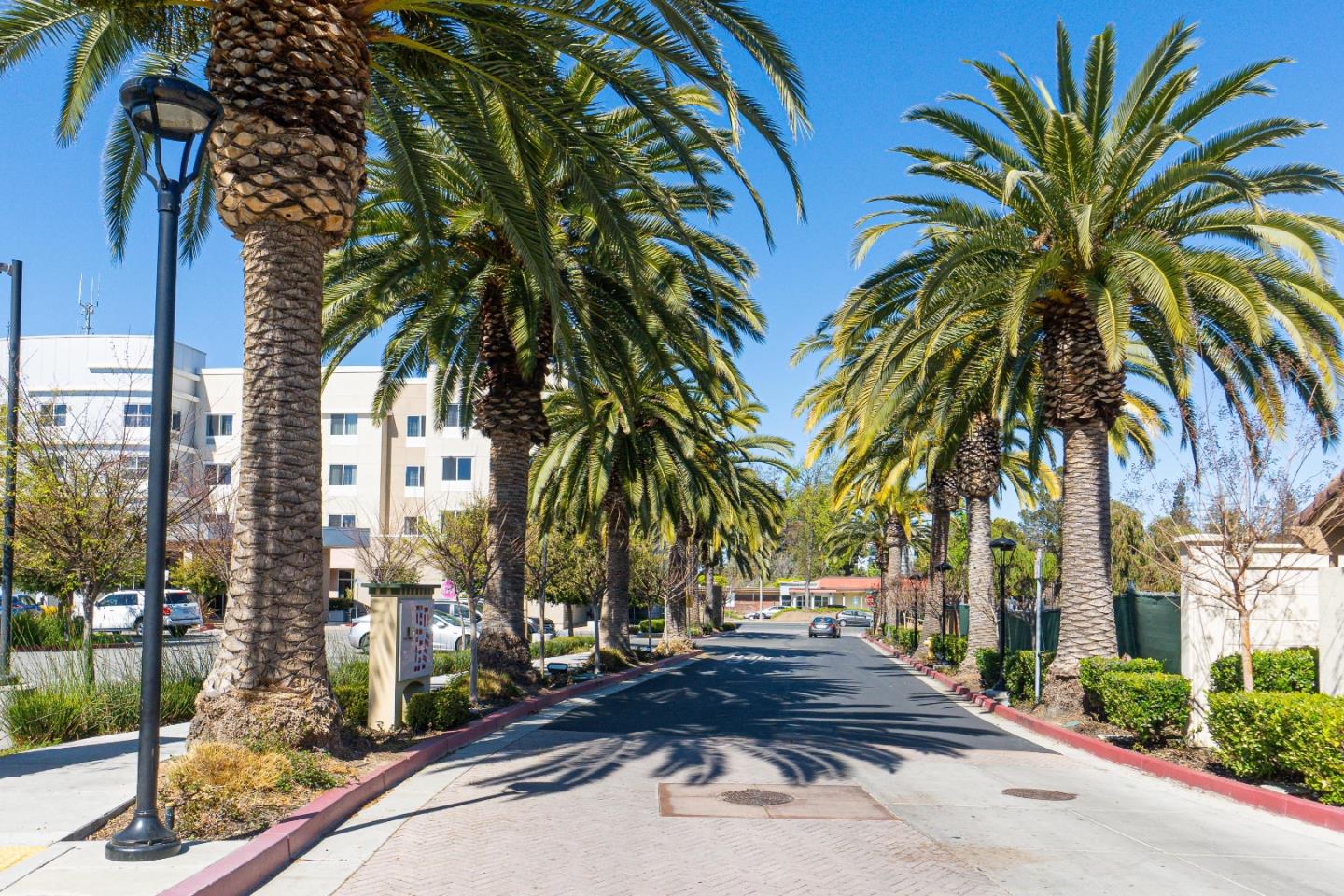 719 Raines Terrace Sunnyvale, CA 94087 - Photo 36 of 47 a view of a yard and fountain