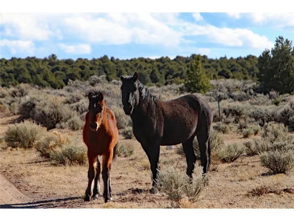 $7,200 | 17 Alta Mesa Drive, San Luis, CO 81152