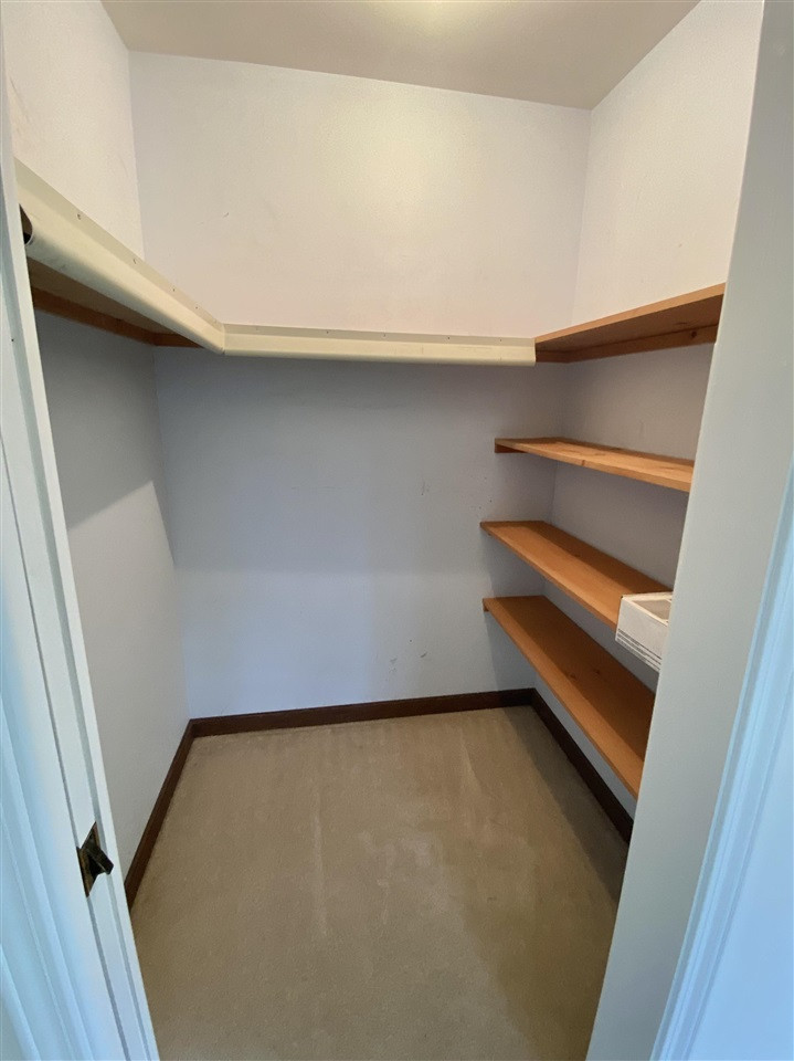 10310 Hadley Road Gregory, MI 48137 - Photo 15 of 30 Walk In Closet