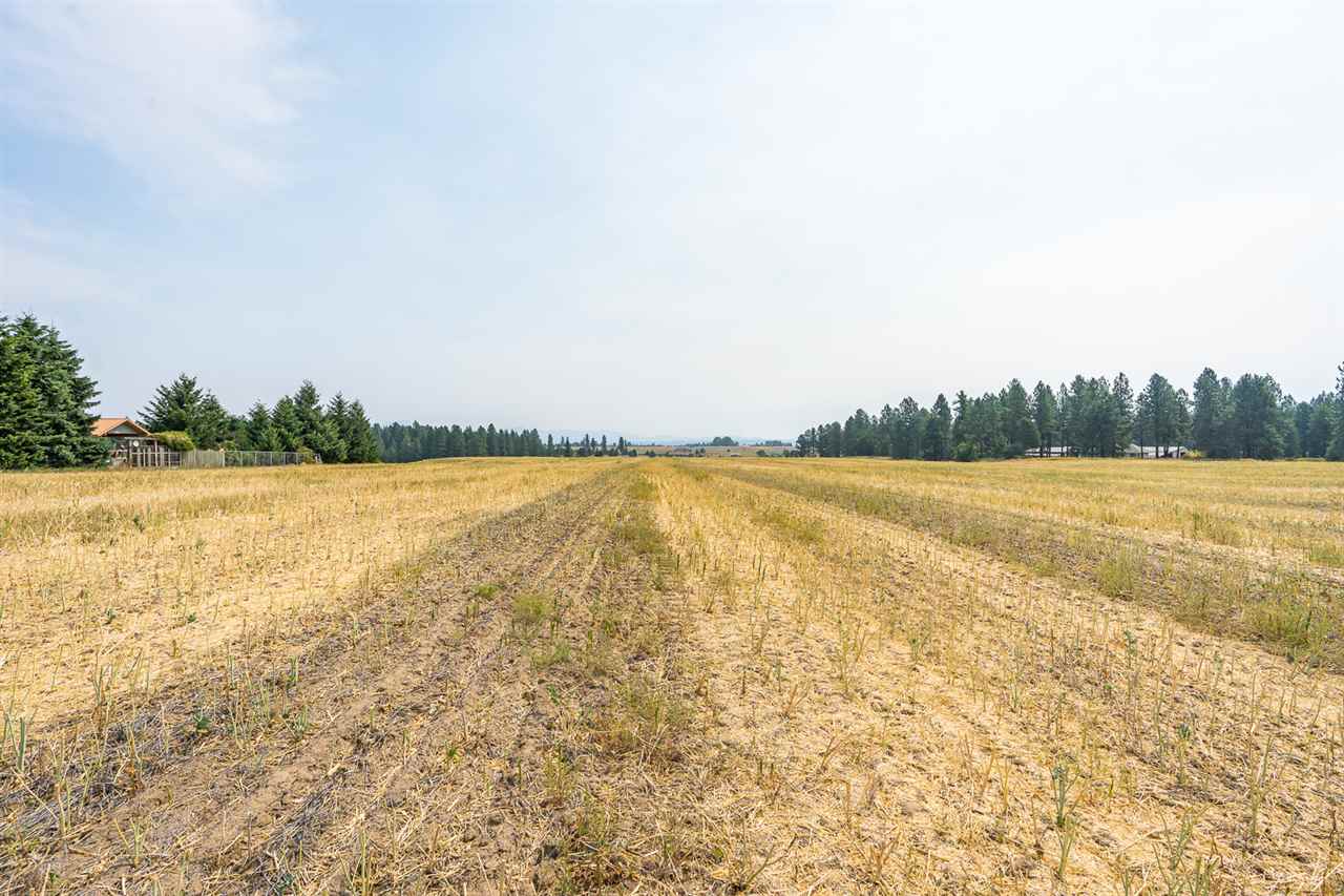 19-xxx North Austin Road Colbert, WA 99005 - Photo 3 of 12