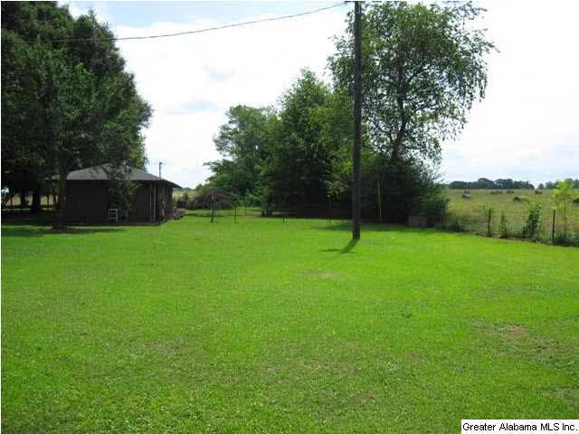 56 Brickstore Road Eastaboga, AL 36260 - Photo 27 of 27