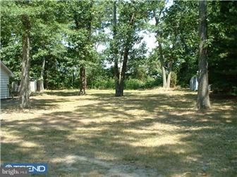 1022 Alvine Road Elmer, NJ 08318 - Photo 3 of 11 Gallery Image 3