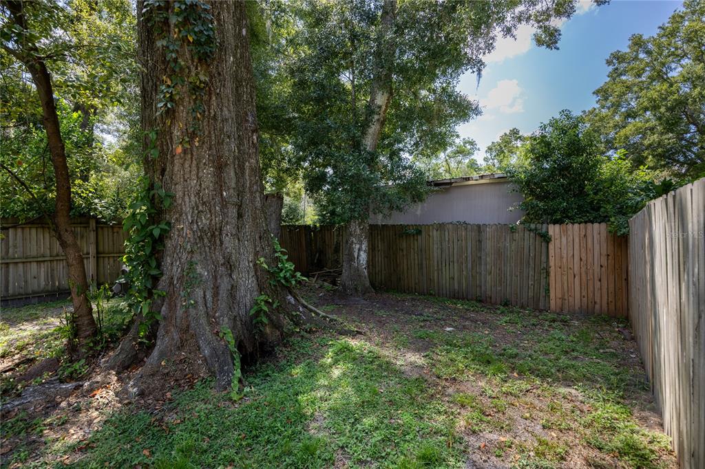 15872 Southwest 133rd Lane Archer, FL 32618 - Photo 11 of 28 a view of a backyard