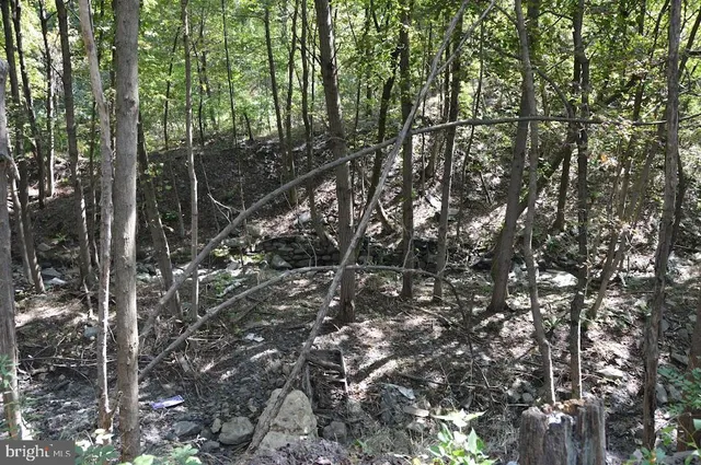 $12,000 | 0 South Reading Railroad, Shenandoah, PA 17976