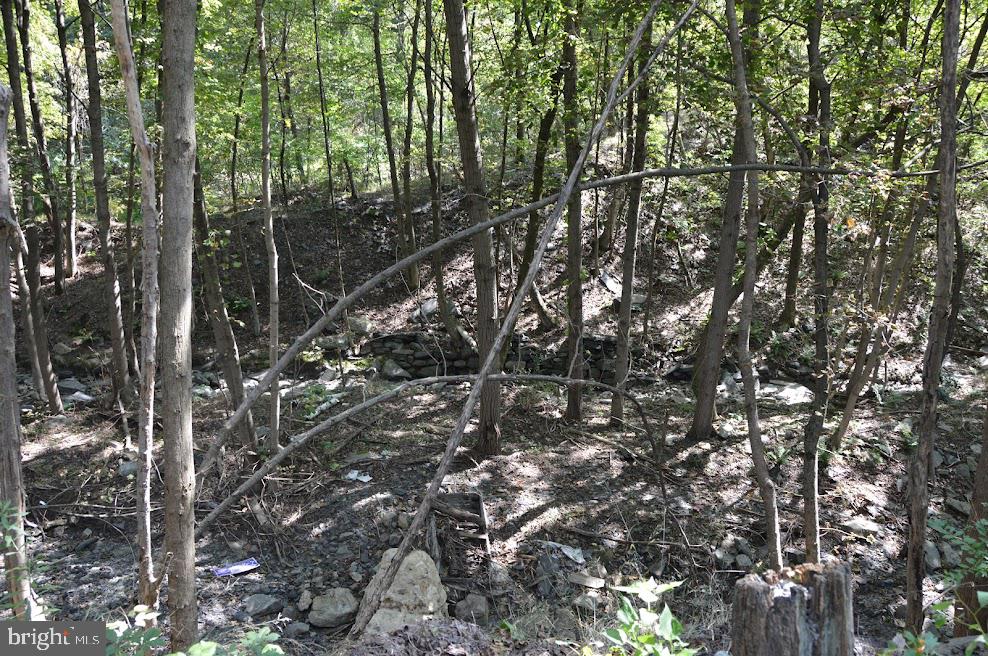 0 South Reading Railroad Shenandoah, PA 17976 - Photo 2 of 6