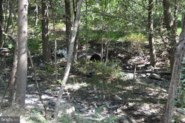 $12,000 | 0 South Reading Railroad, Shenandoah, PA 17976