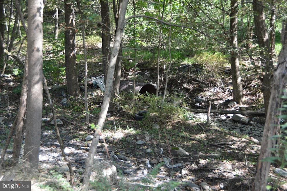 0 South Reading Railroad Shenandoah, PA 17976 - Photo 3 of 6