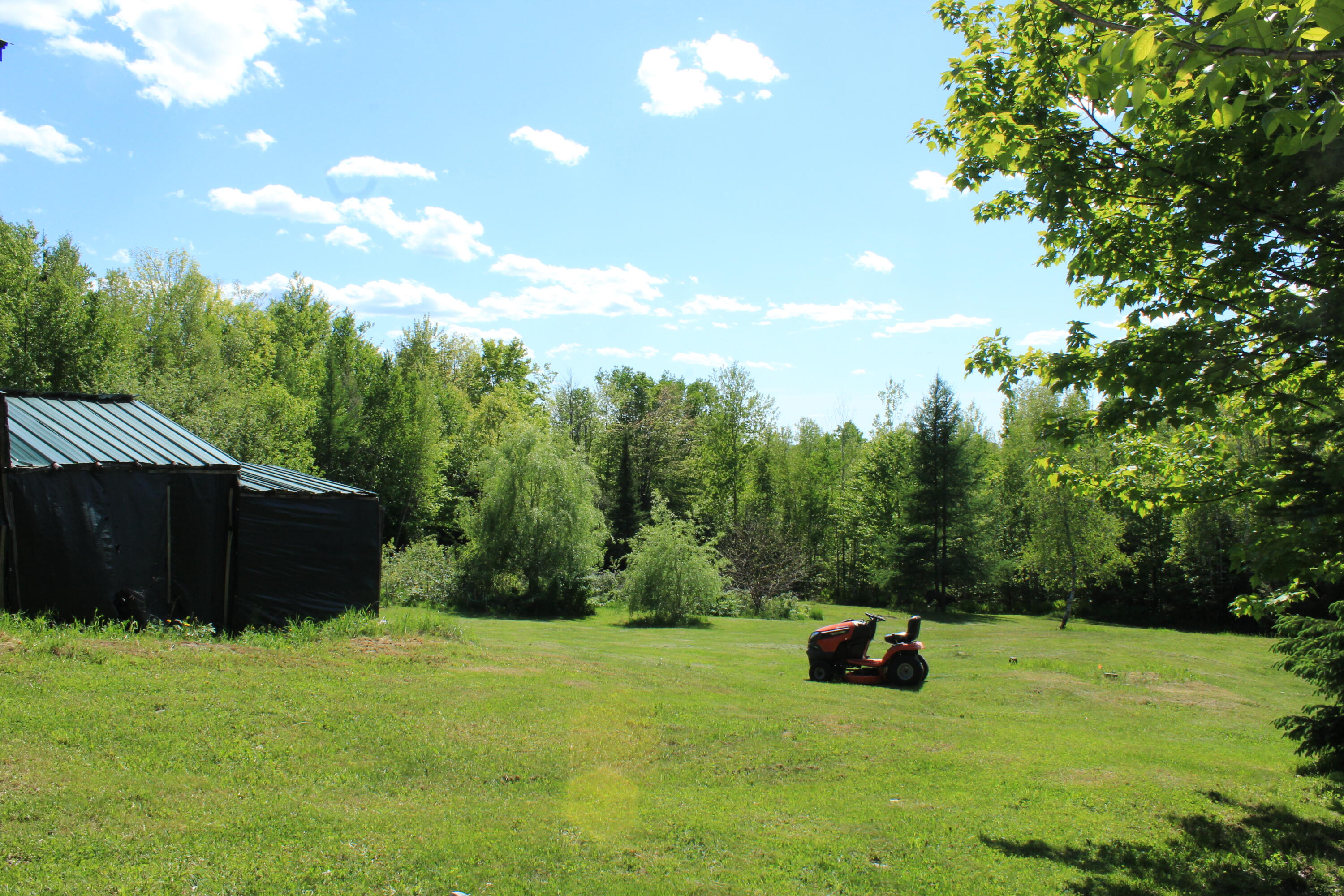 47 Tower Hill Road Medford, ME 04463 - Photo 4 of 66 side yard