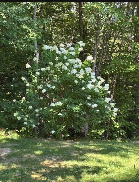 130 Marston Road Richmond, ME 04357 - Photo 45 of 49 image1