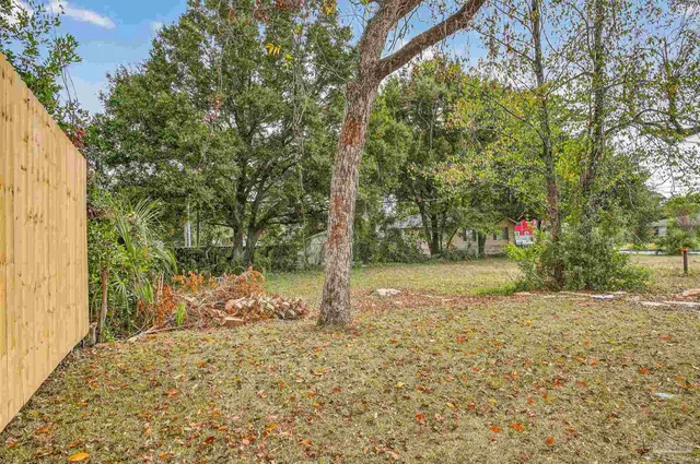 a view of a yard with plants and trees