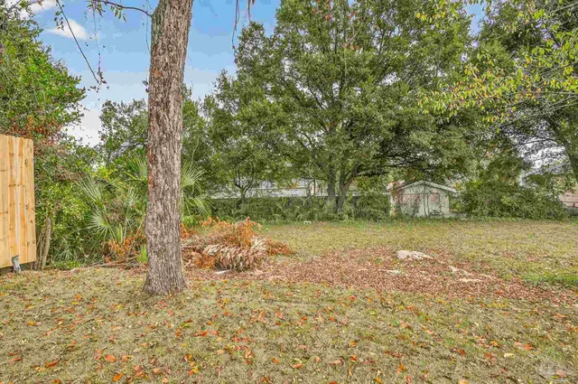 a backyard of a house with lots of green space