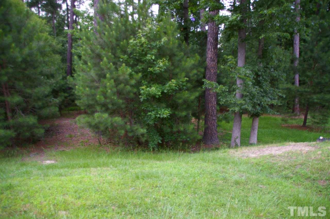 5245 Thornton Road Raleigh, NC 27616 - Photo 3 of 9 a big yard with lots of green space and plants