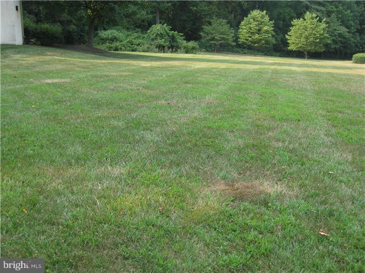 60 Seminary Road Glenmoore, PA 19343 - Photo 25 of 25 Back Yard