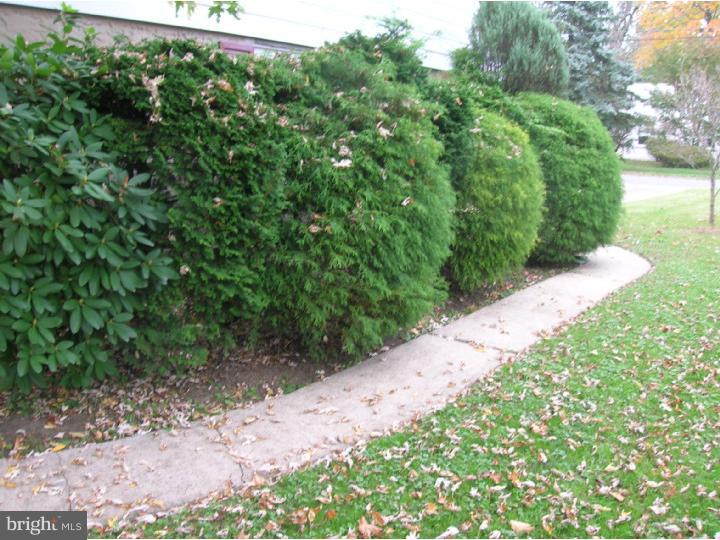 448 Pinecrest Road Springfield, PA 19064 - Photo 22 of 22 Exterior Side