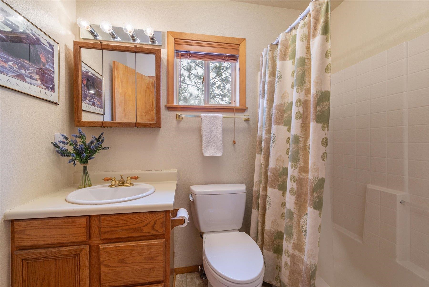 14236 Wolfgang Road Truckee, CA 96161 - Photo 15 of 21 a bathroom with a toilet a sink and a mirror
