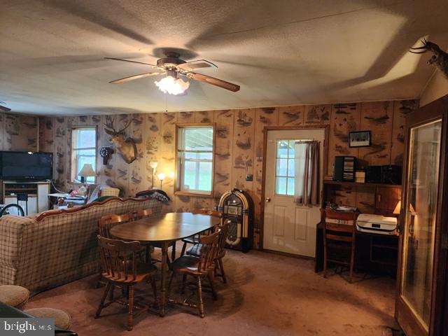 221 Bobbys Run Road Emporium, PA 15834 - Photo 24 of 40