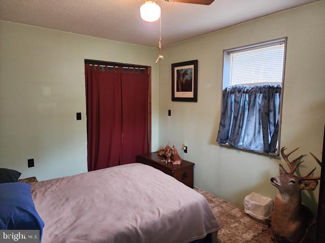 221 Bobbys Run Road Emporium, PA 15834 - Photo 34 of 40