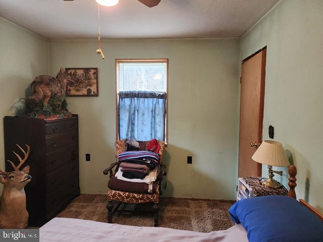 221 Bobbys Run Road Emporium, PA 15834 - Photo 36 of 40