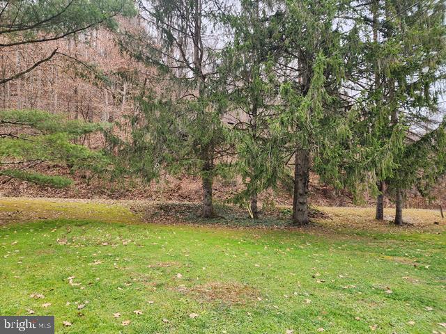221 Bobbys Run Road Emporium, PA 15834 - Photo 4 of 40
