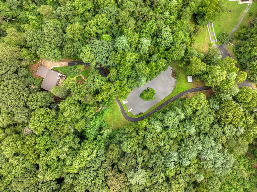 1009 Hefner Lake Road Ellijay, GA 30536 - Photo 4 of 93 Gallery Image 4
