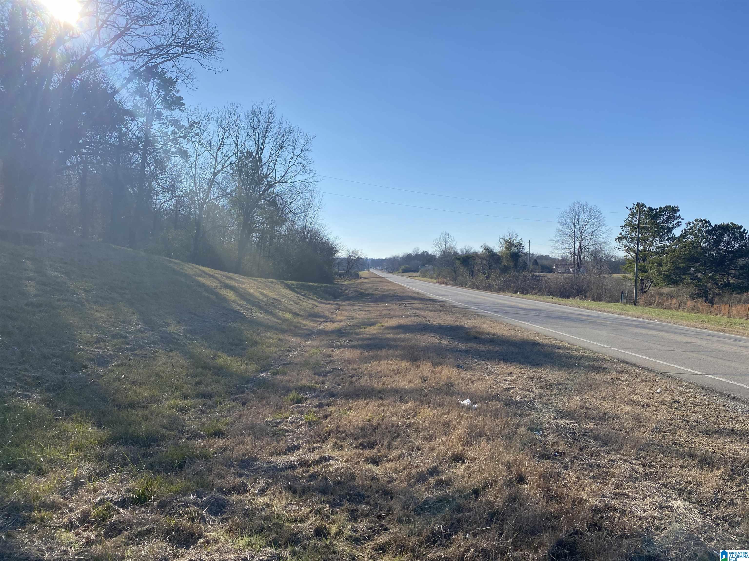 0 Highway 144 Ragland, AL 35131 - Photo 4 of 4