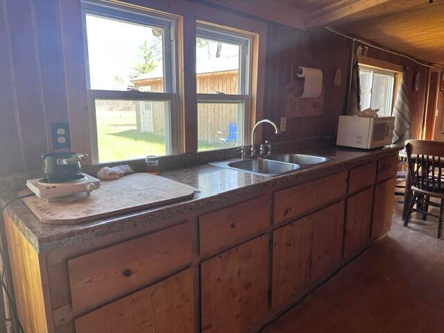 3666 Old State Road Mio, MI 48647 - Photo 12 of 28 IMG_3386