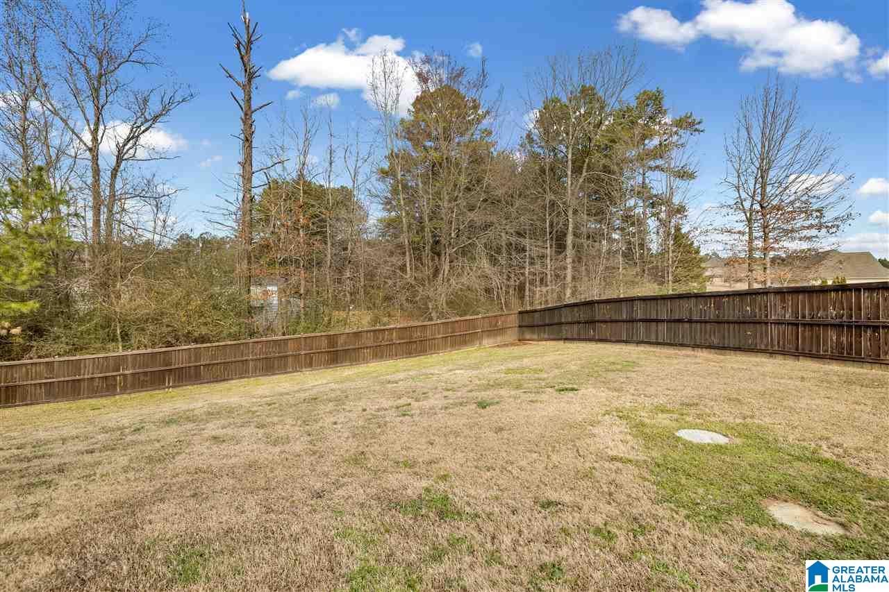 60 Rolling Ridge Circle Odenville, AL 35120 - Photo 30 of 31