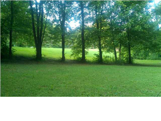 0 Wolfinger Road Mount Vernon, IN 47620 - Photo 2 of 7 Gallery Image 2