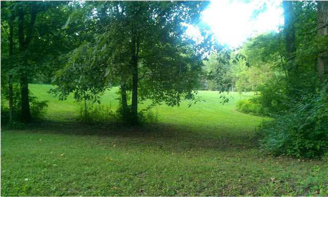0 Wolfinger Road Mount Vernon, IN 47620 - Photo 3 of 7 Gallery Image 3