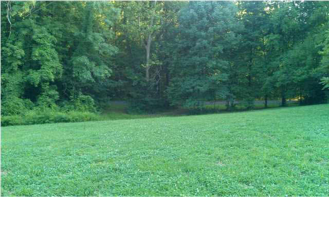 0 Wolfinger Road Mount Vernon, IN 47620 - Photo 4 of 7 Gallery Image 4
