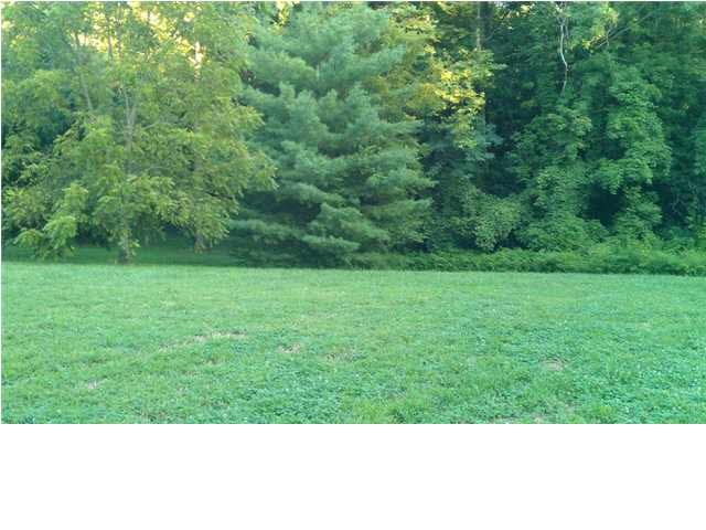 0 Wolfinger Road Mount Vernon, IN 47620 - Photo 5 of 7 Gallery Image 5