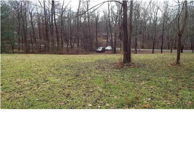 0 Wolfinger Road Mount Vernon, IN 47620 - Photo 7 of 7 Gallery Image 7