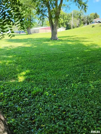 $19,900 | 351 South Ave D, Canton, IL 61520