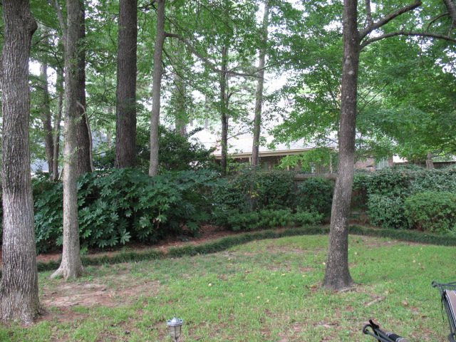 306 Pinewood Lane Ridgeland, MS 39157 - Photo 4 of 29 Photo 4