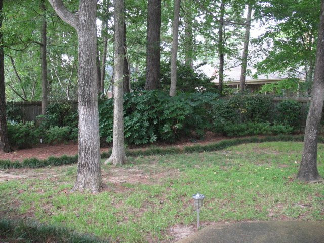 306 Pinewood Lane Ridgeland, MS 39157 - Photo 8 of 29 Photo 8