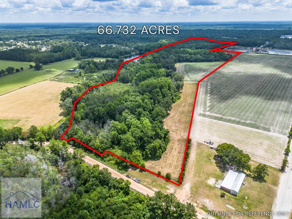 0 Nesbit Road Jesup, GA 31545 - Photo 1 of 35 Main View