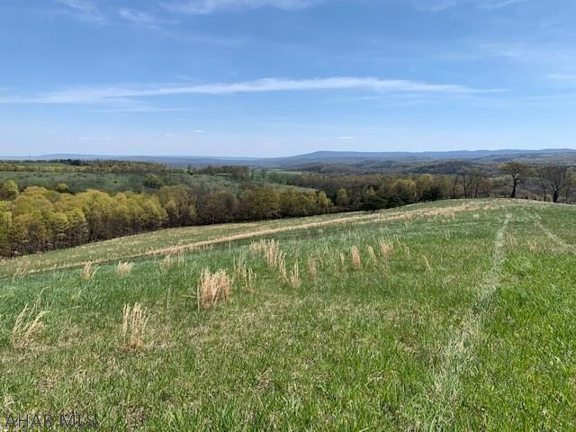 600 Corley Road Manns Choice, PA 15550 - Photo 56 of 59